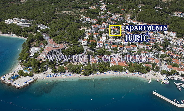 Apartments JURI - Brela Soline, Croatia, owner Ante Medi