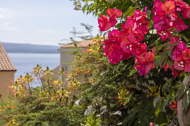 Apartments Villa Ambasador, Brela - balcony with seaview