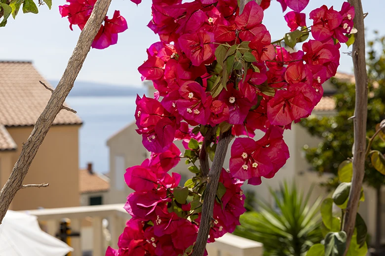 Apartments Villa Ambasador, Brela - balcony with seaview