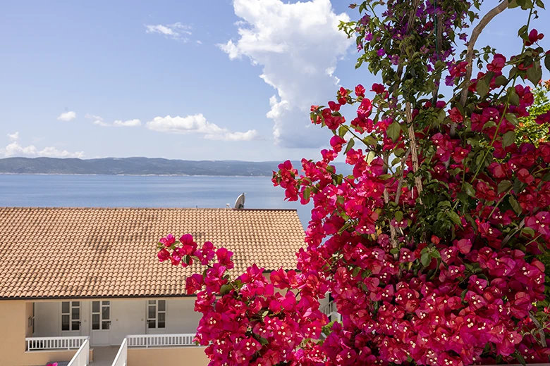 Apartments Villa Ambasador, Brela - balcony with seaview