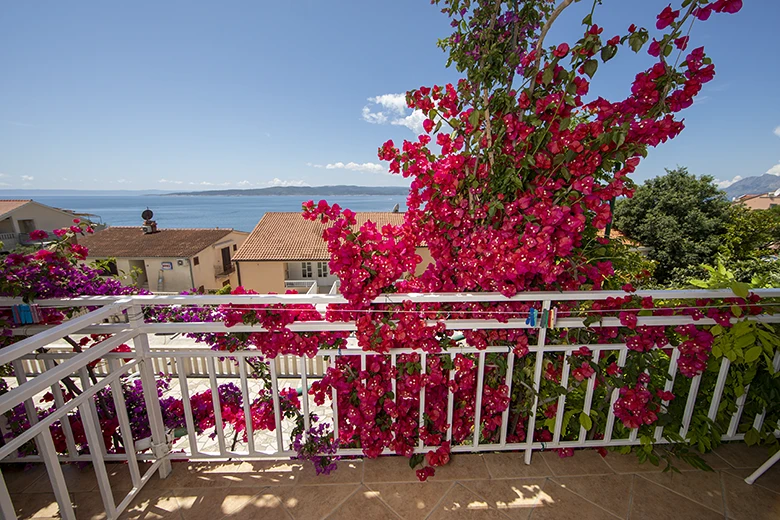 Apartments Villa Ambasador, Brela - balcony with seaview