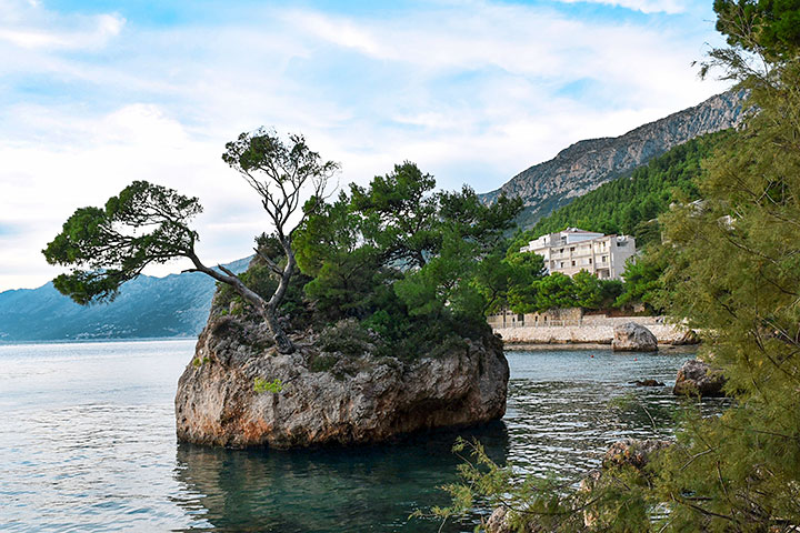 Brela beach Punta - stone and pine tree in the sea