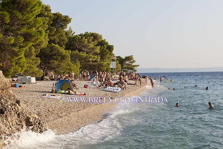 Punta Rata beach - summer