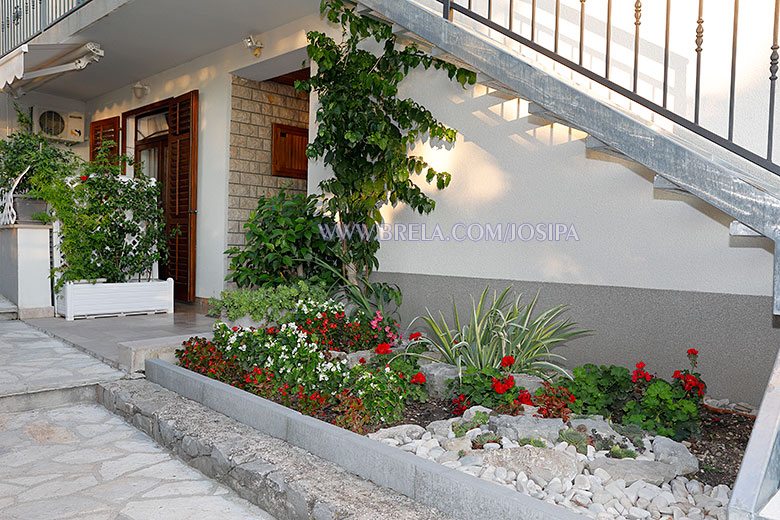 house entrance in flower
