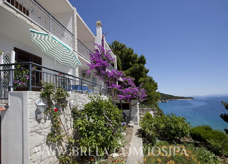 house is close to the sea