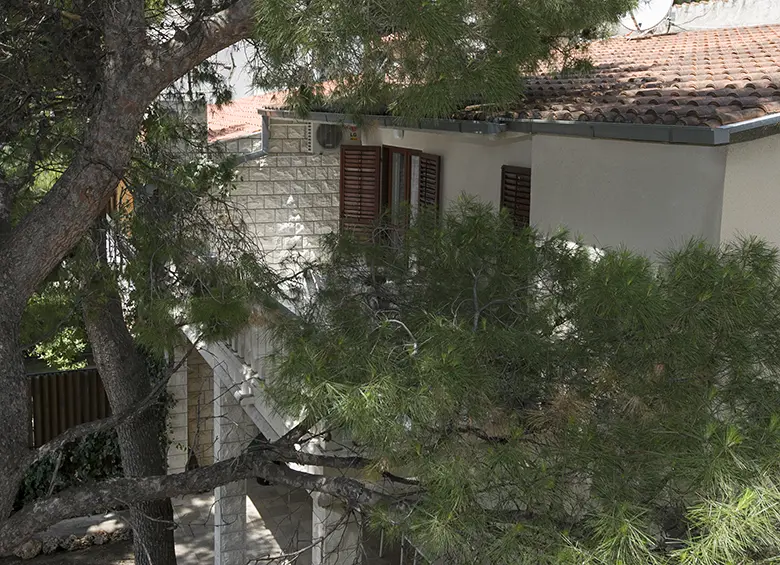 apartments Kate, Brela - terrace in the pine tree shadow