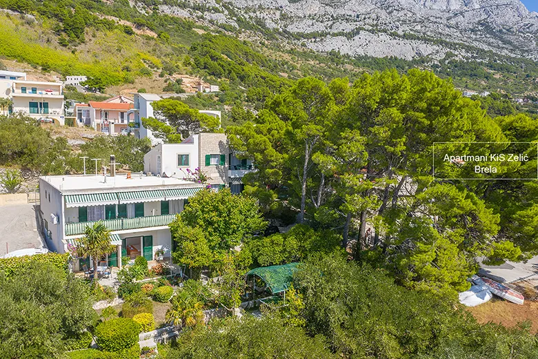 house - aerial view