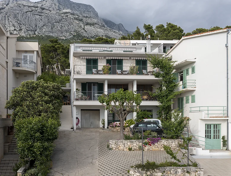 house 1, aerial view