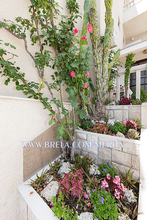 flowers on the stairs