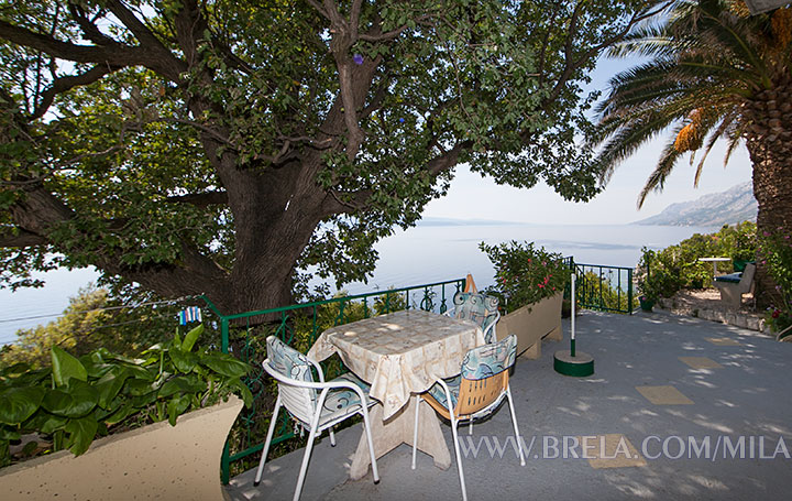 terasa s pogledom na more - terrace with sea view - Terasse mit Meerblick