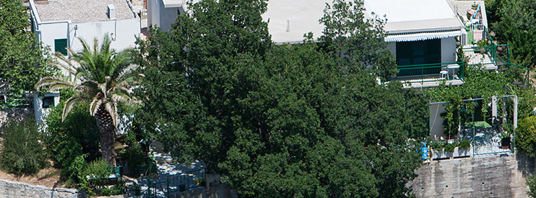 apartments Mila viewed from air