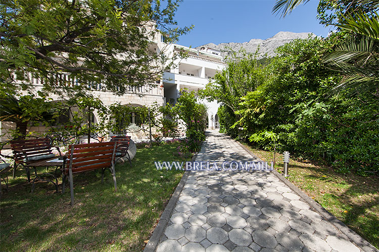 apartments Mili, Brela - path in flowers