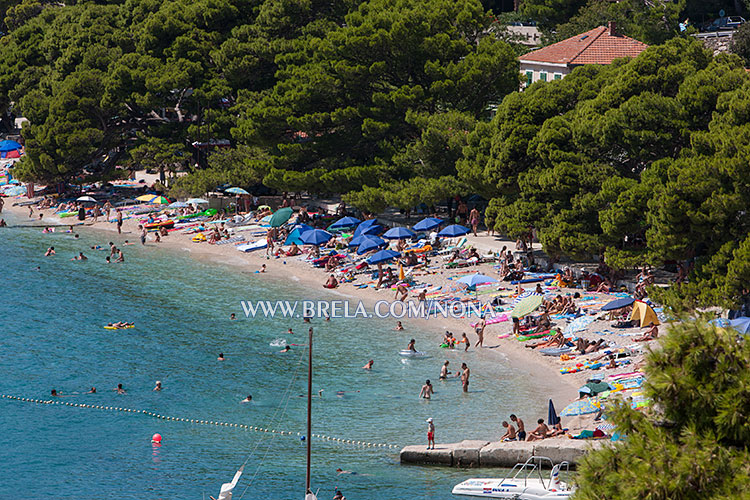 beach in Brela Soline - panorama