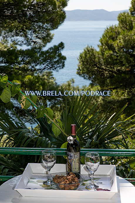 apartments Podrae, Brela - Neven & Dubravko Šoši, balcony with sea view