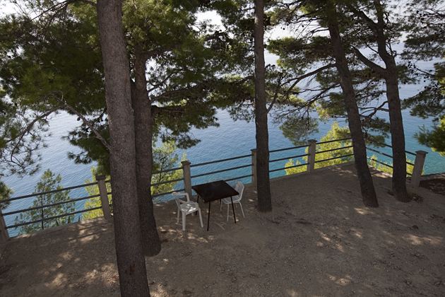 in deep shadow of pinetree looking on the sea, promenade and beaches