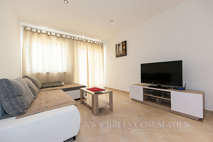 living room, large sofa and large LCD TV screen