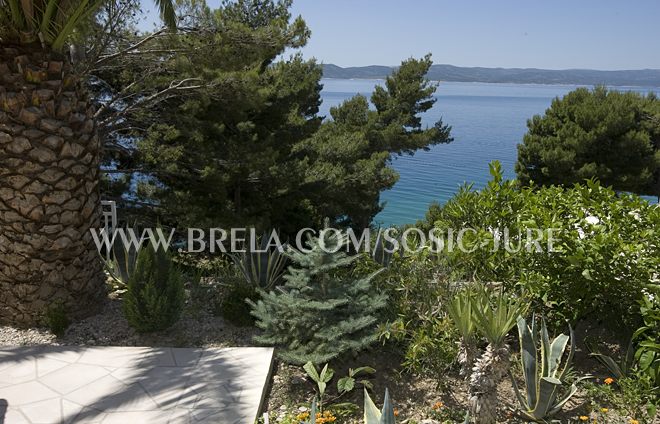 apartments Jure Šoši, Brela - garden, sea view