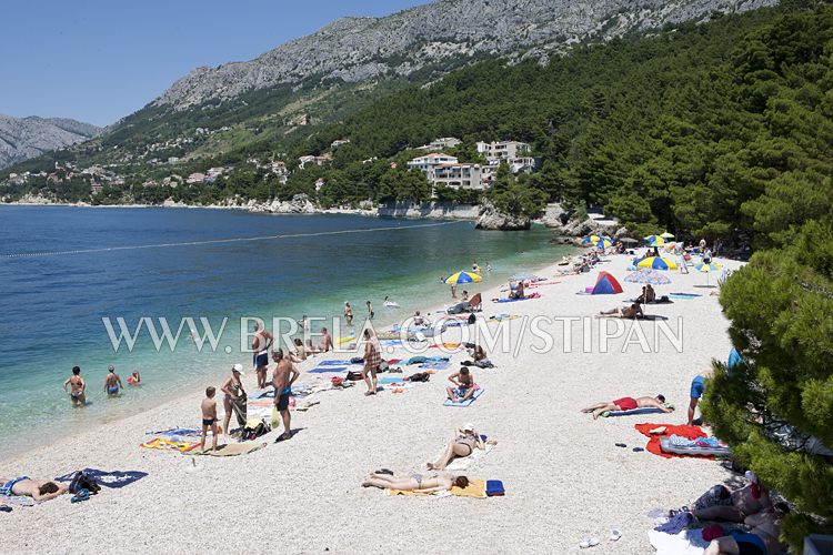 most popular beach in Dalmatia
