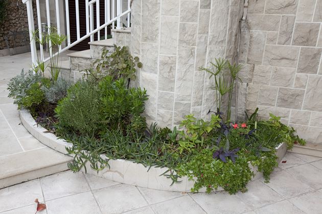 flowers all arround terrace