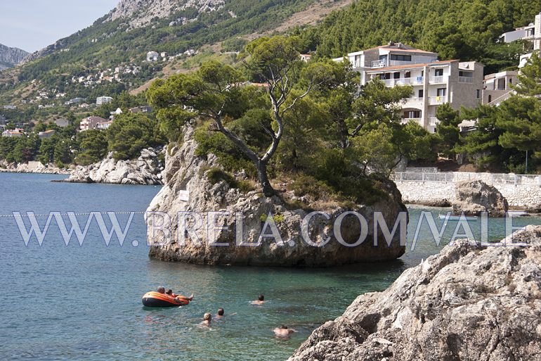 Famous stone on the sea, with pine tree, Brela