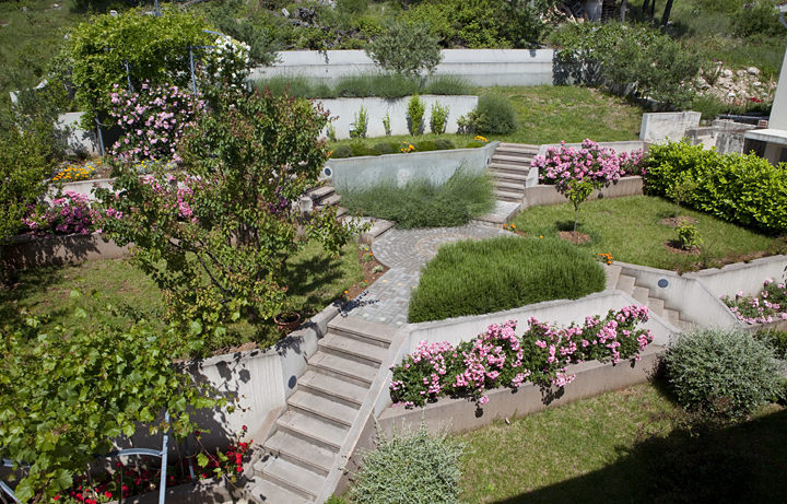 Vila Antonio, Brela - garden with flowers